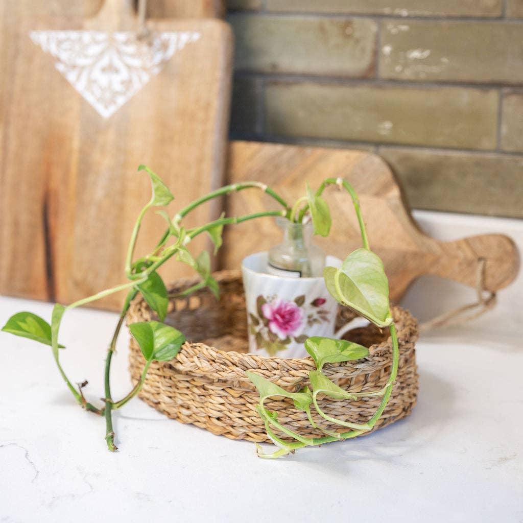The Halda Seagrass Oval Tabletop Trays