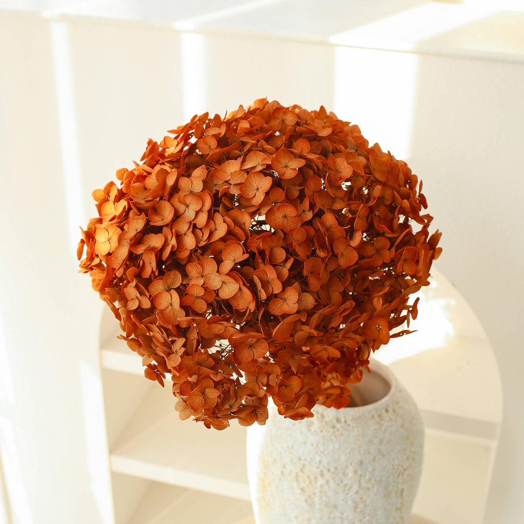 Dried Preserved Hydrangea