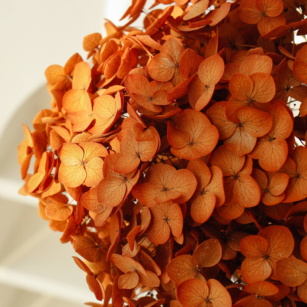 Dried Preserved Hydrangea