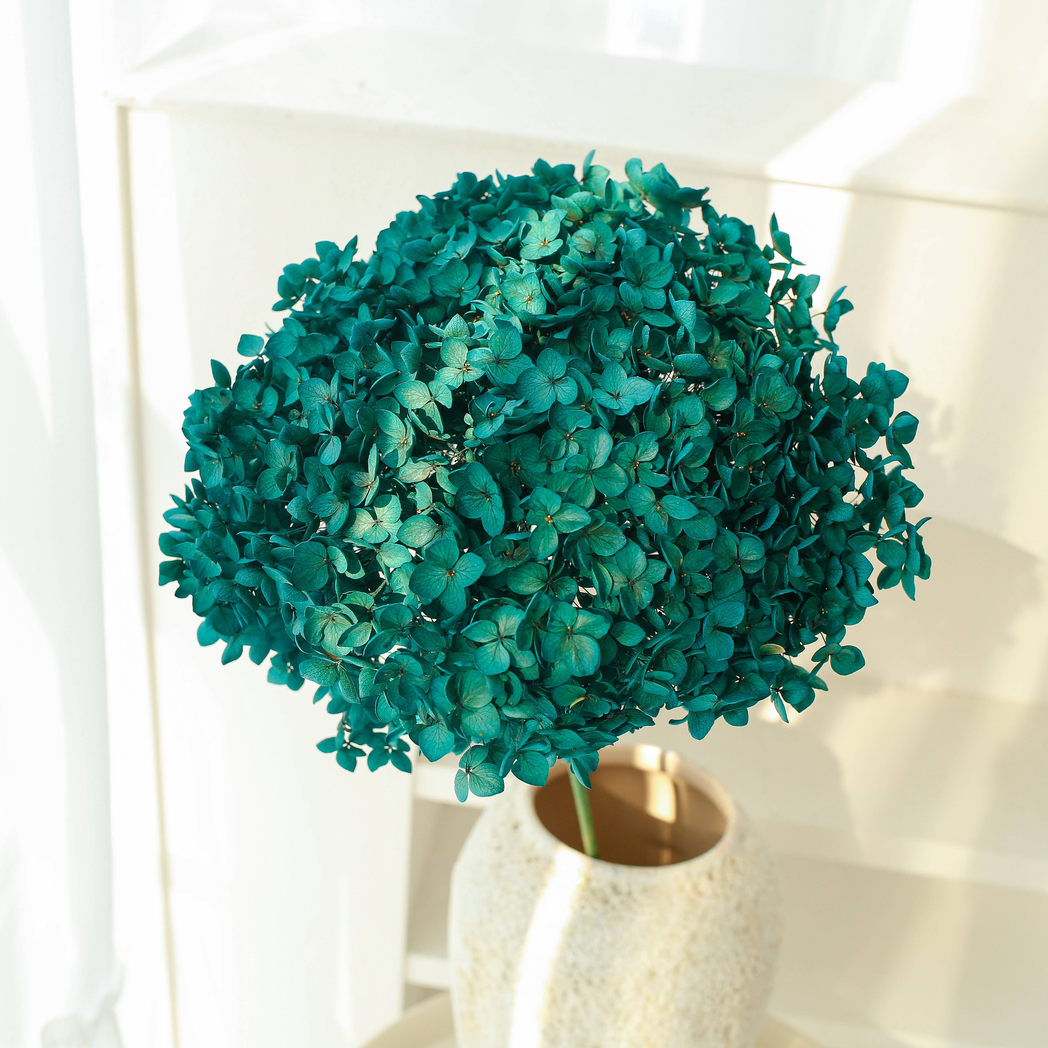 Dried Preserved Hydrangea