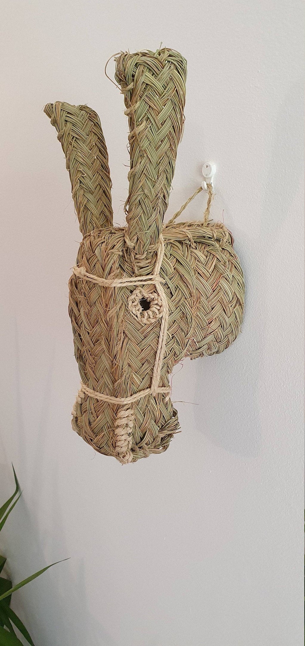 Donkey Head | wall animal trophy - Wall Decoration