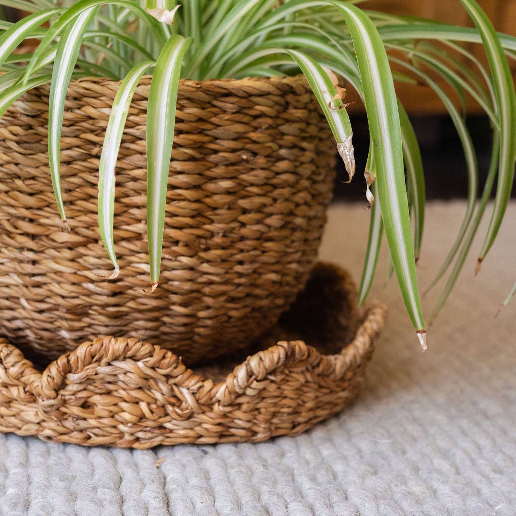 Bangali Scallop Lidded Storage Baskets