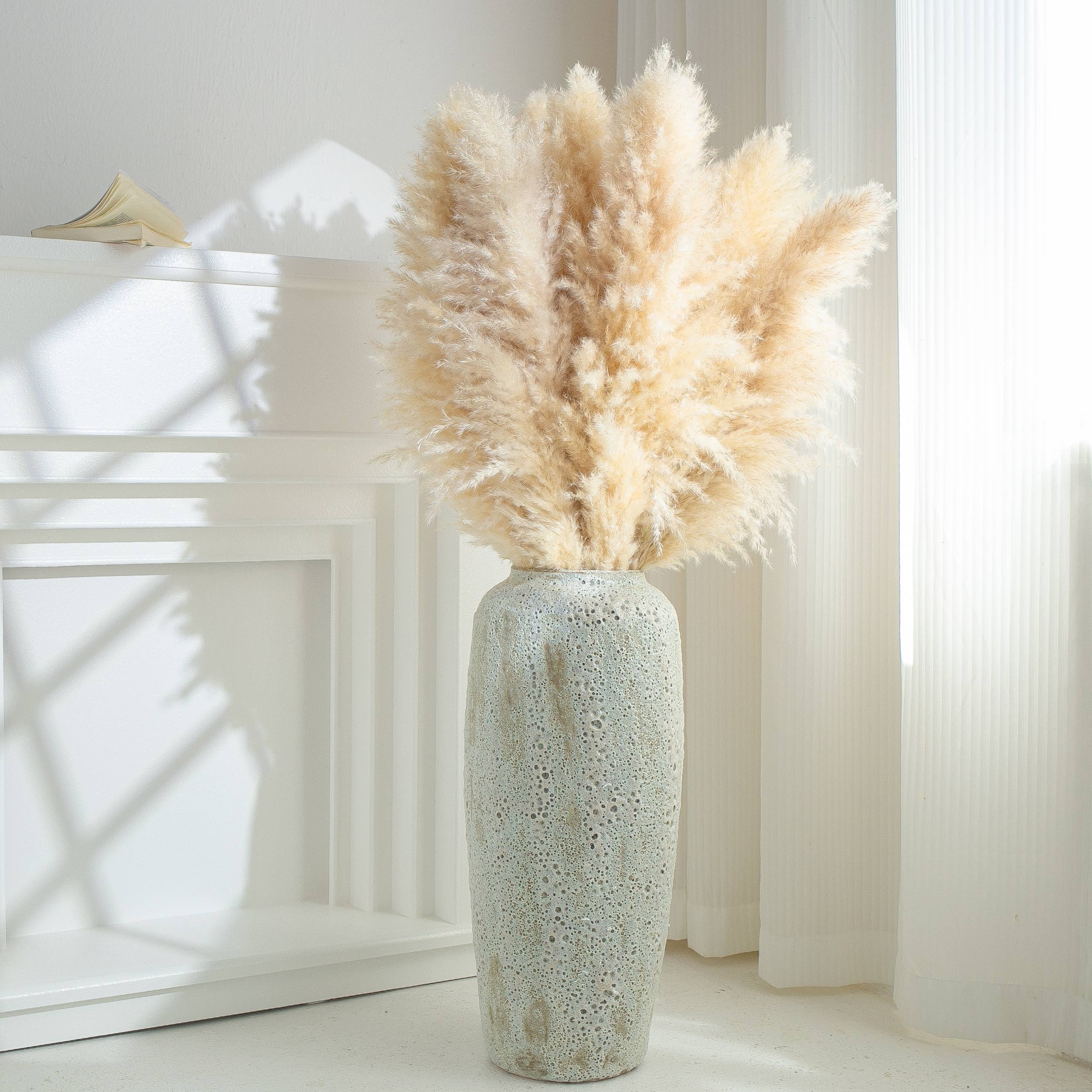 5 Stems of Extra Large Fluffy Pampas Grass Cream Colour