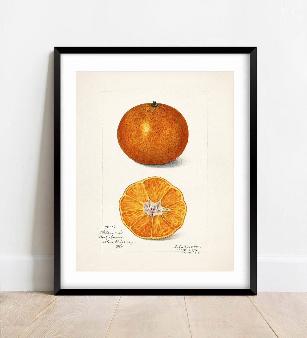 Vintage Satsuma Print