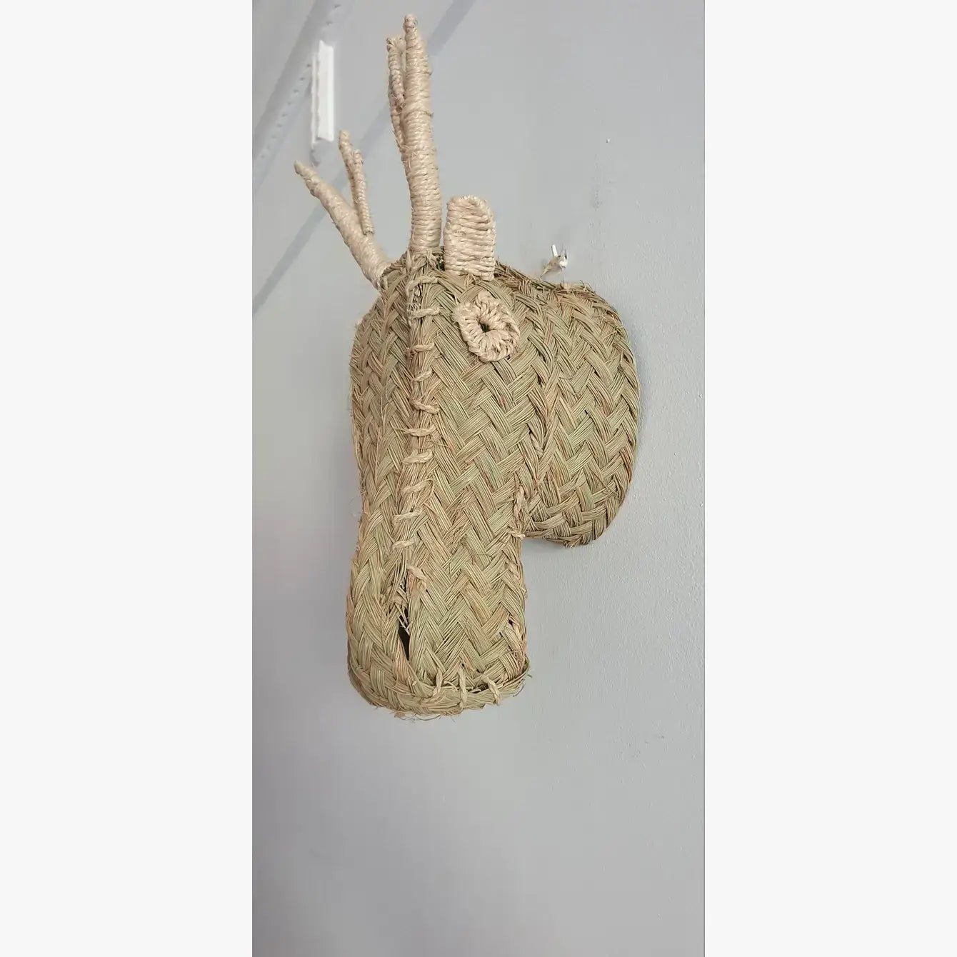 Gazelle Head | wall animal trophy - Wall Decoration