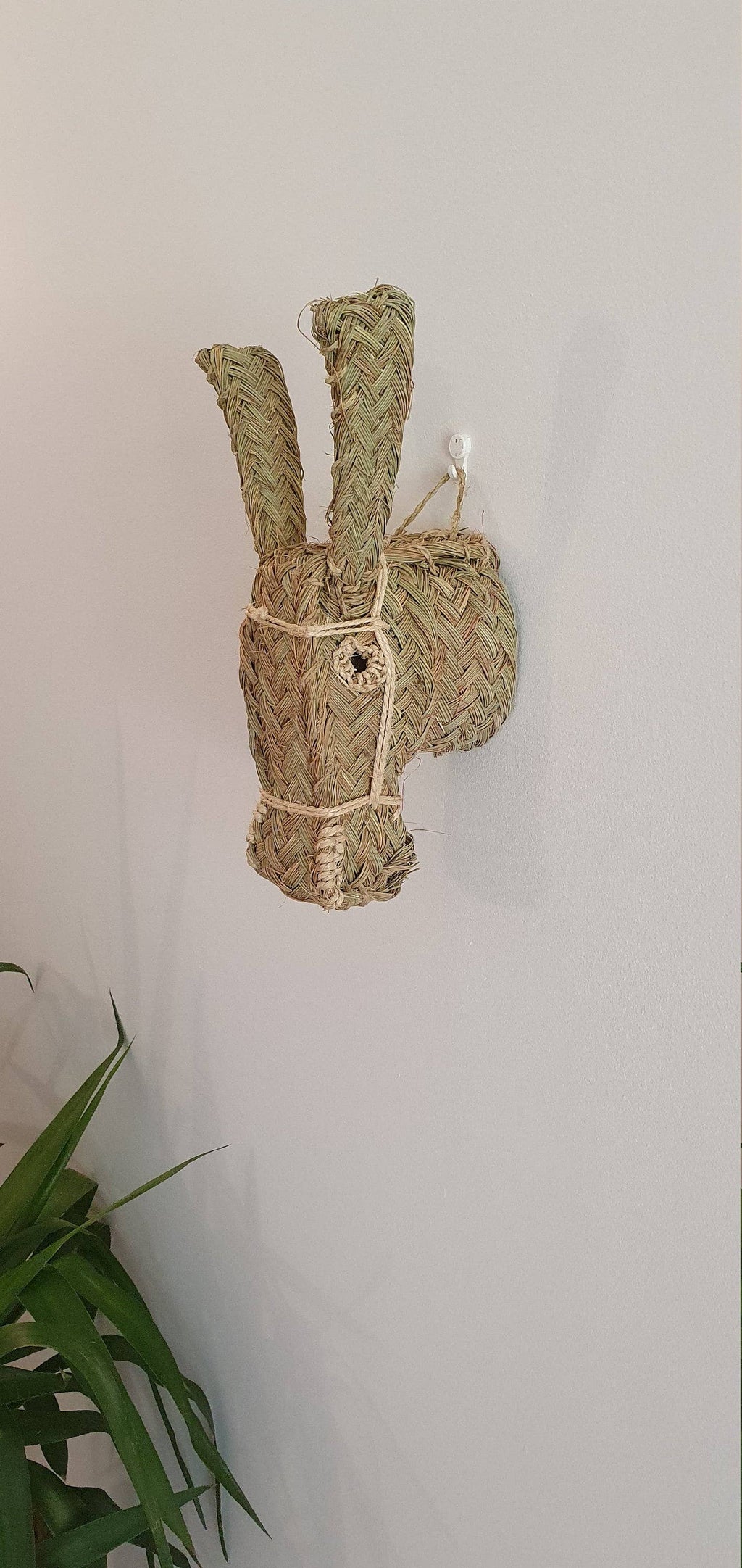 Donkey Head | wall animal trophy - Wall Decoration