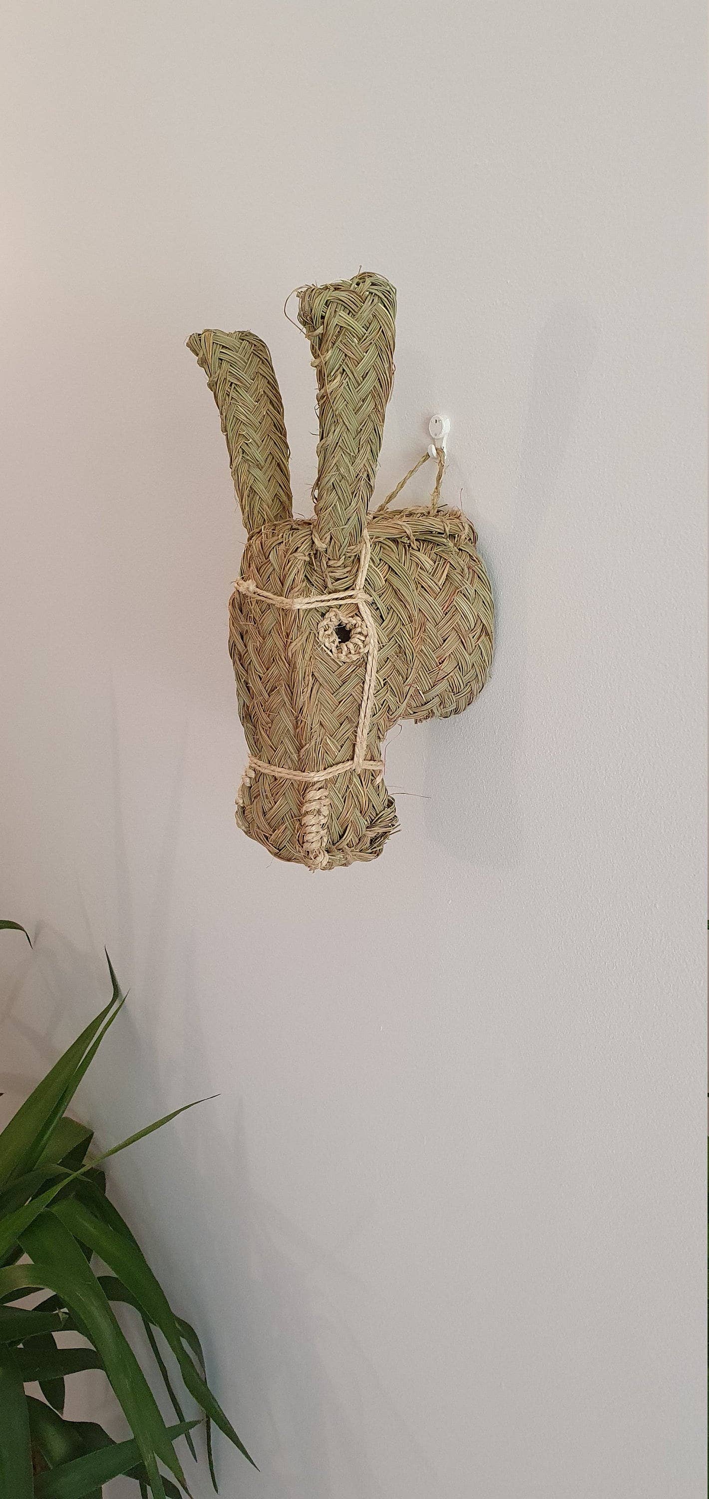 Donkey Head | wall animal trophy - Wall Decoration