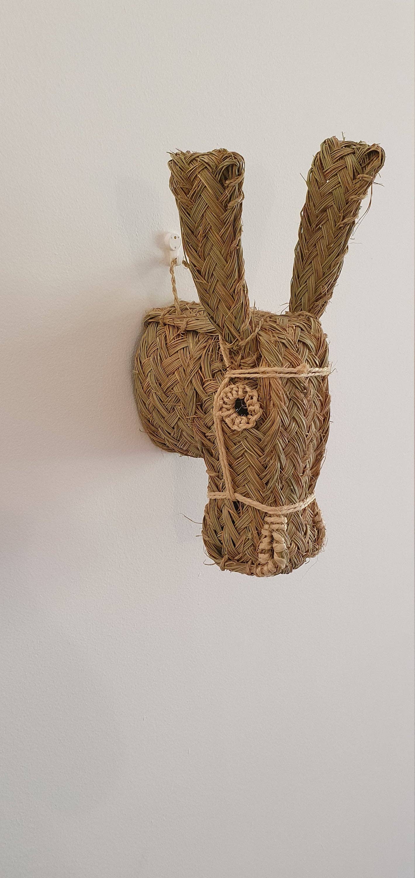 Donkey Head | wall animal trophy - Wall Decoration