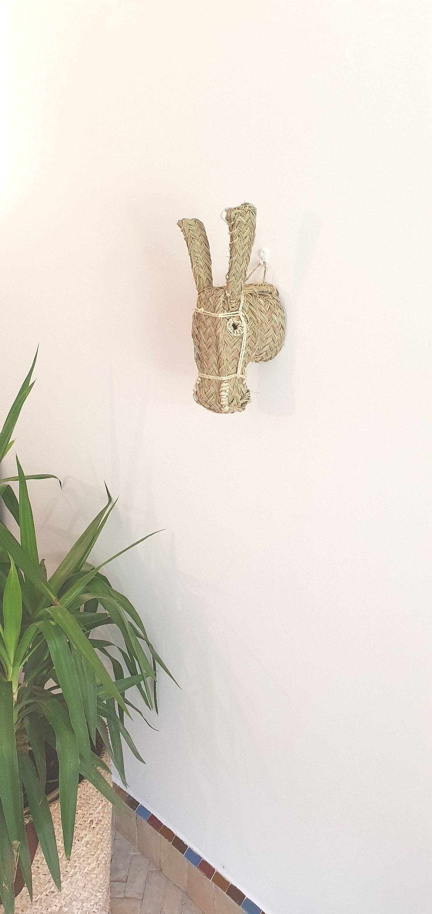Donkey Head | wall animal trophy - Wall Decoration