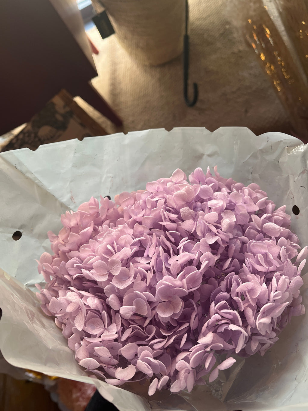 Dried Preserved Hydrangea