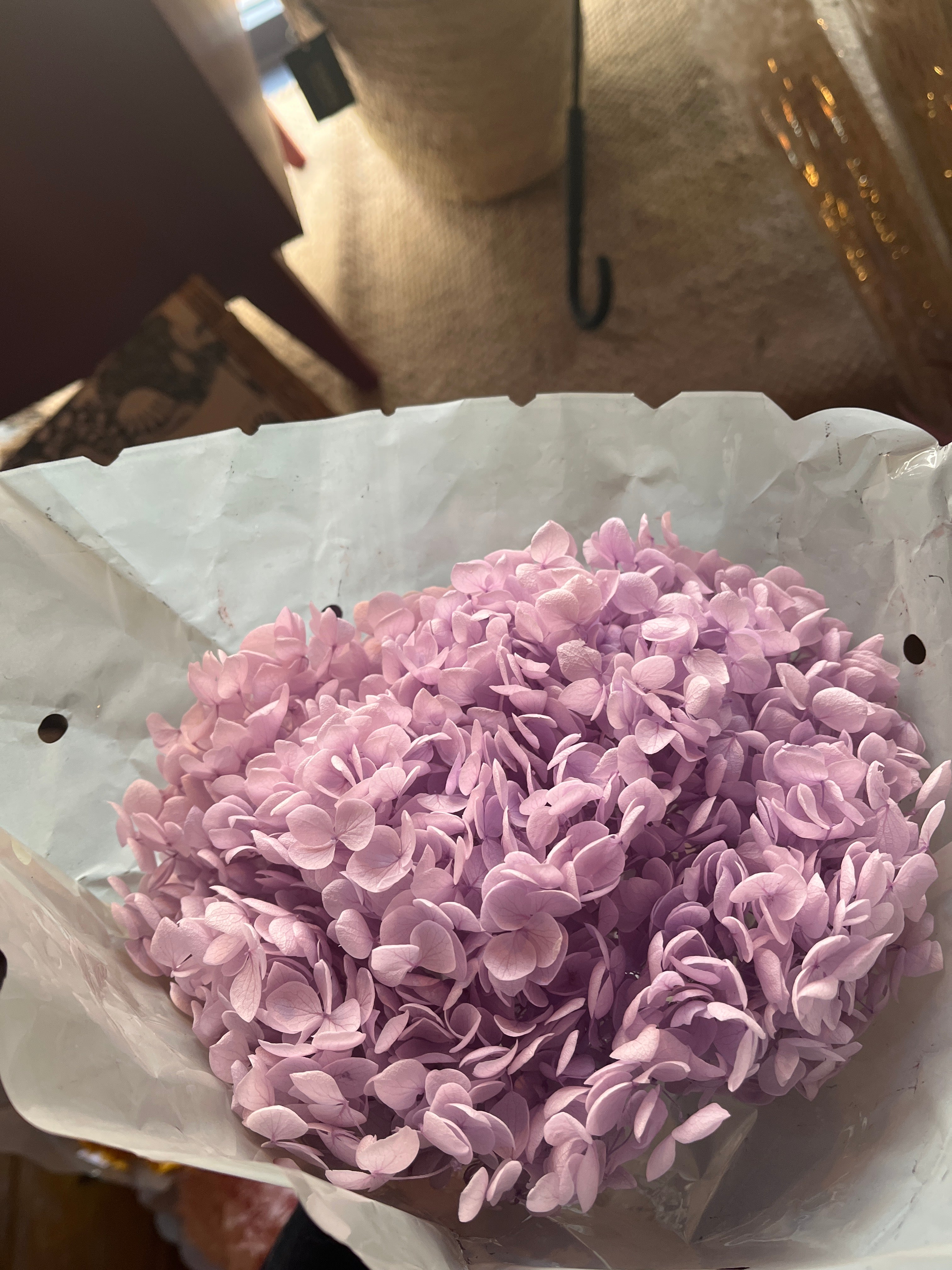 Dried Preserved Hydrangea