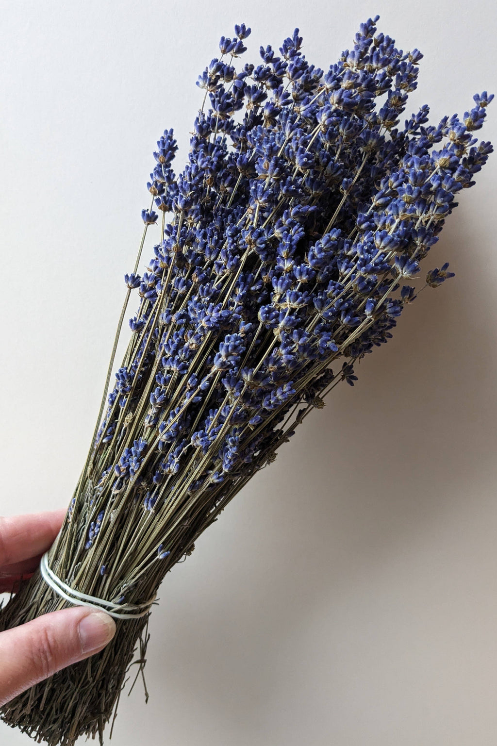 Dried Lavender Bunch 30cm Natural Blue