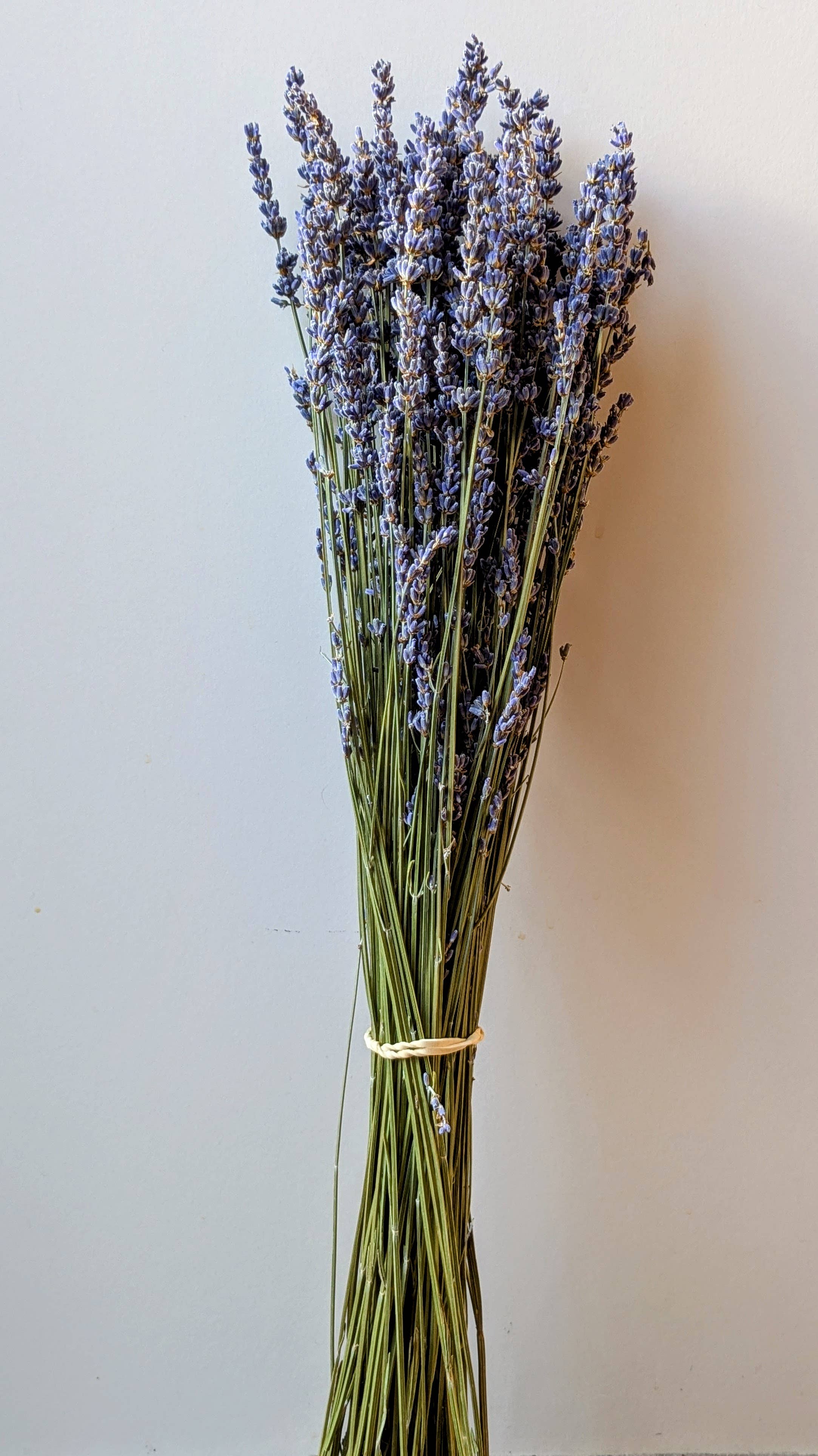 Dried Lavender Bunch 50cm Pale Blue Natural