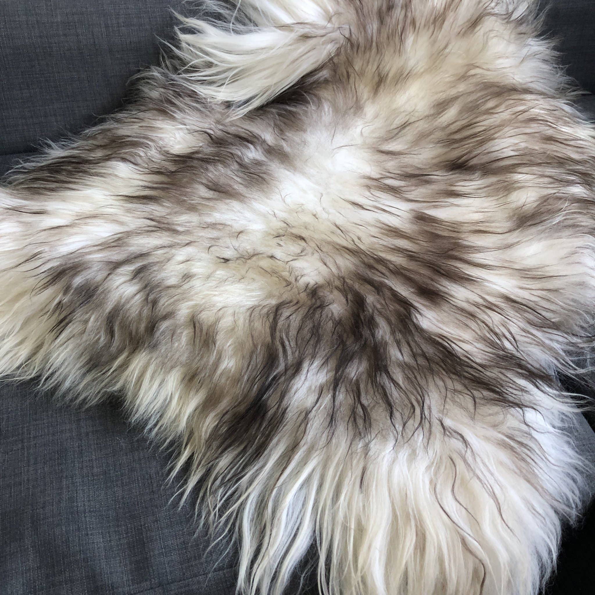 Icelandic Sheepskin Rug - Timberwolf