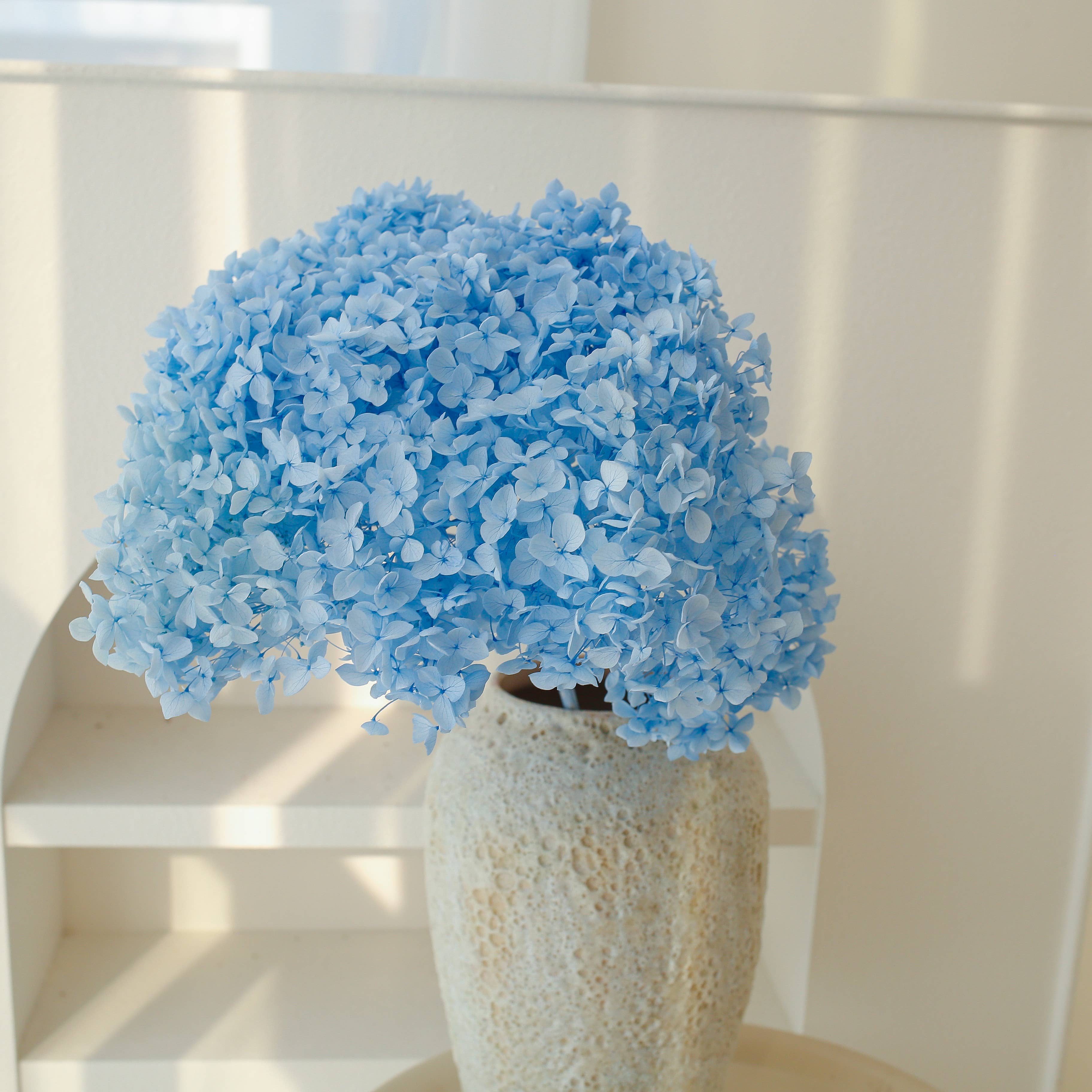 Dried Preserved Hydrangea