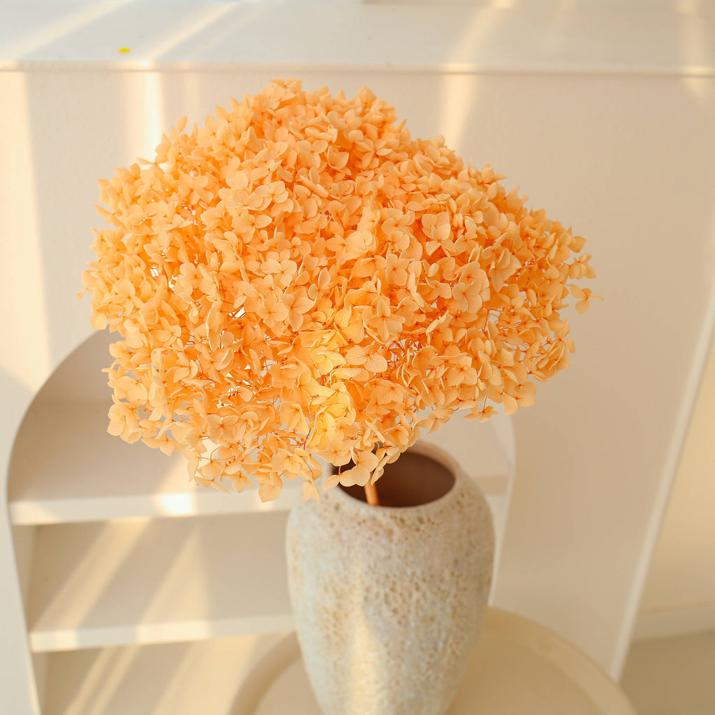 Dried Preserved Hydrangea