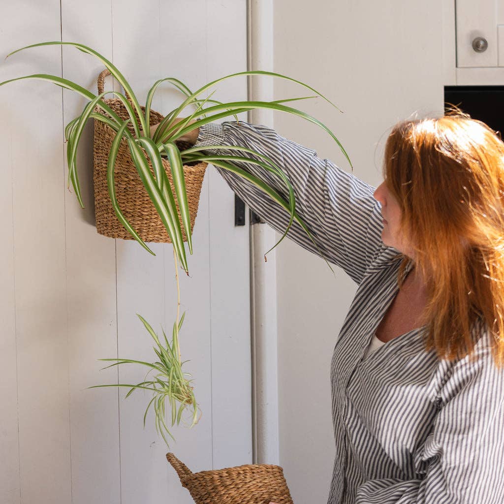 Kompo Seagrass Hanging Storage Baskets