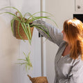 Kompo Seagrass Hanging Storage Baskets