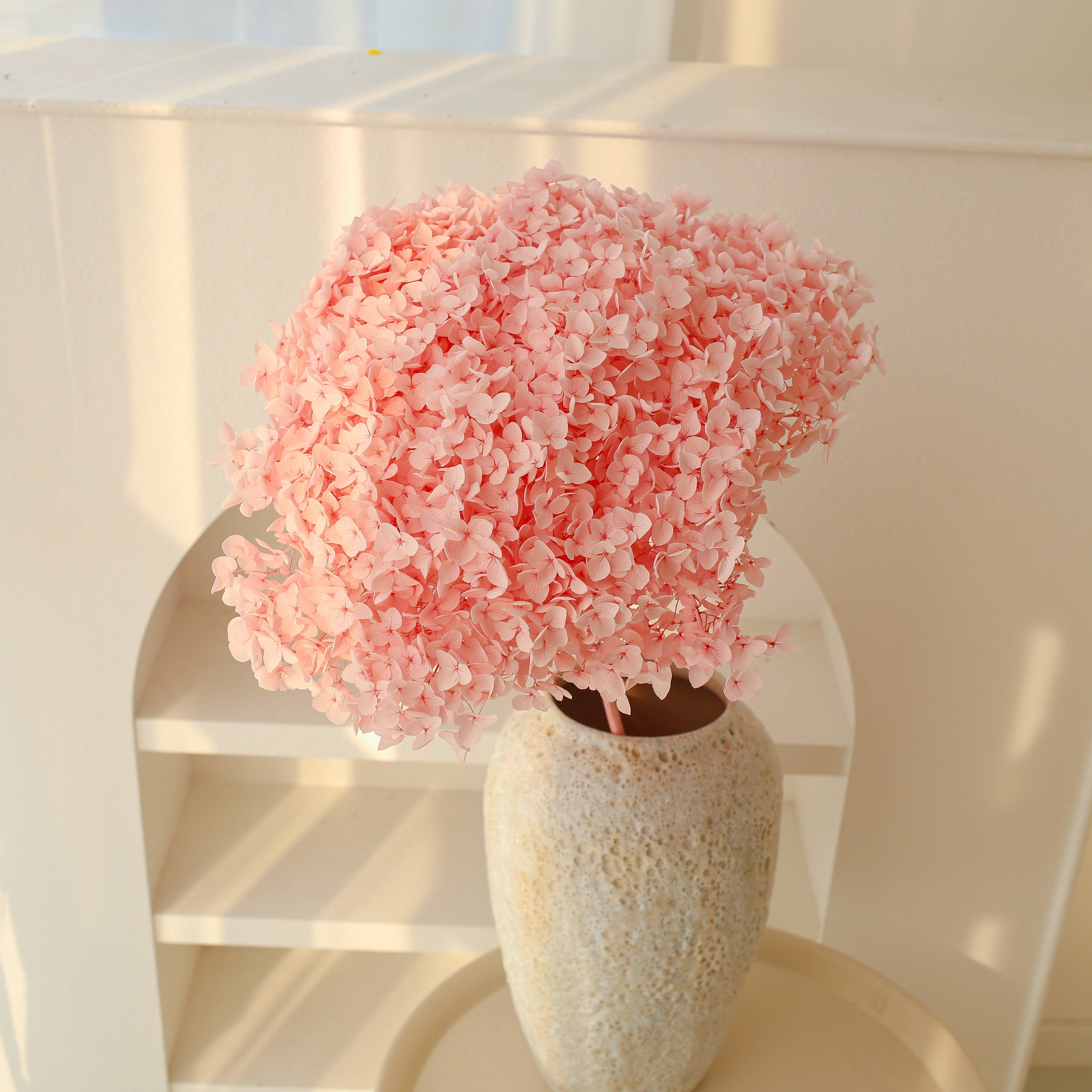 Dried Preserved Hydrangea