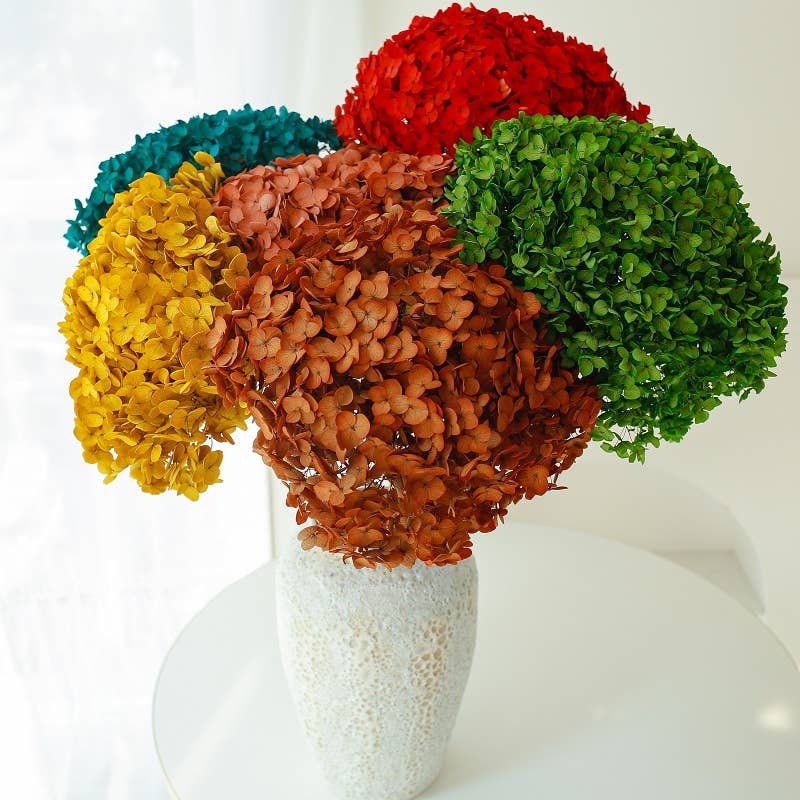 Dried Preserved Hydrangea