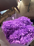 Dried Preserved Hydrangea