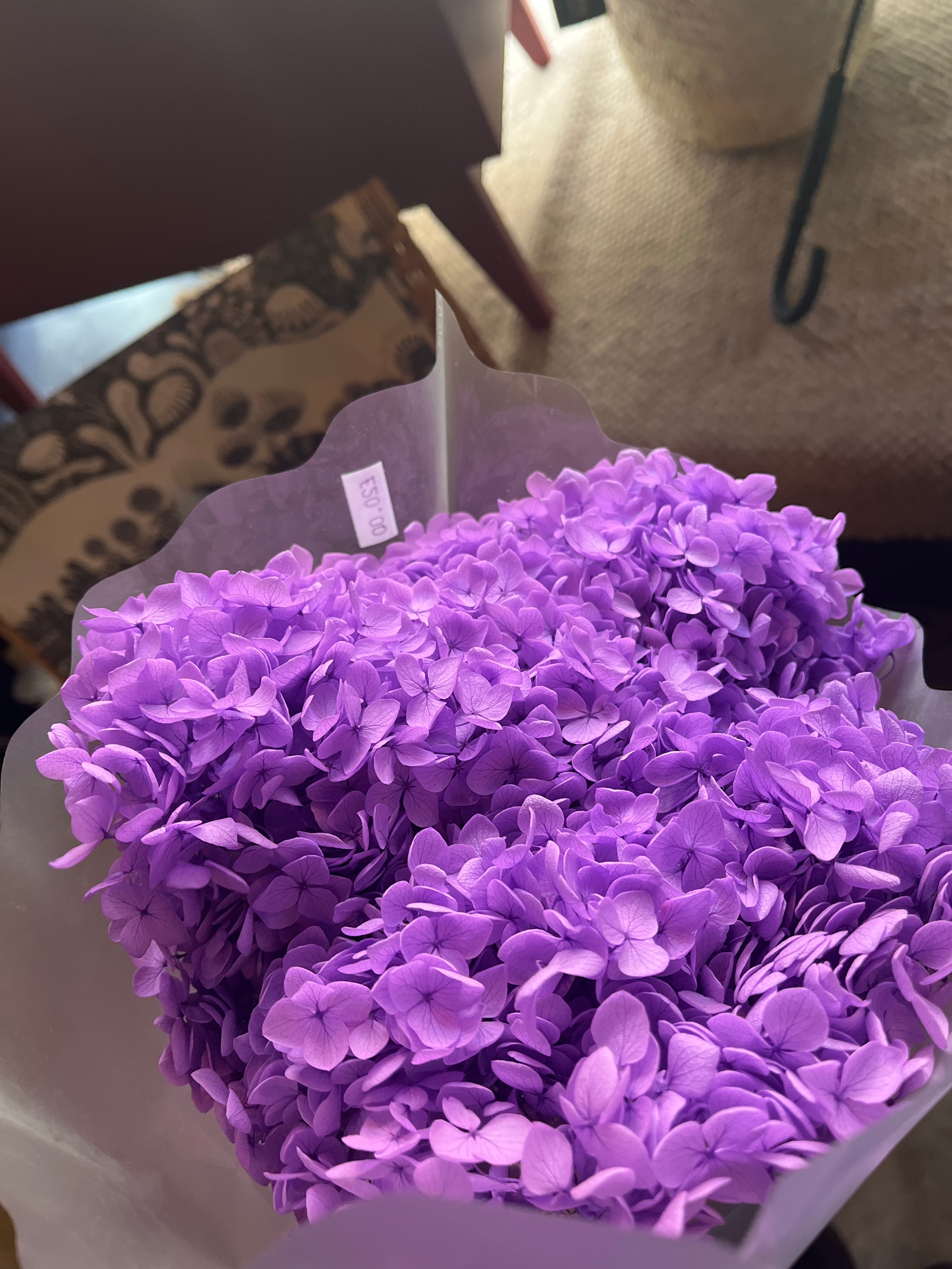 Dried Preserved Hydrangea