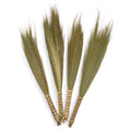 Pampus Broom - Natural