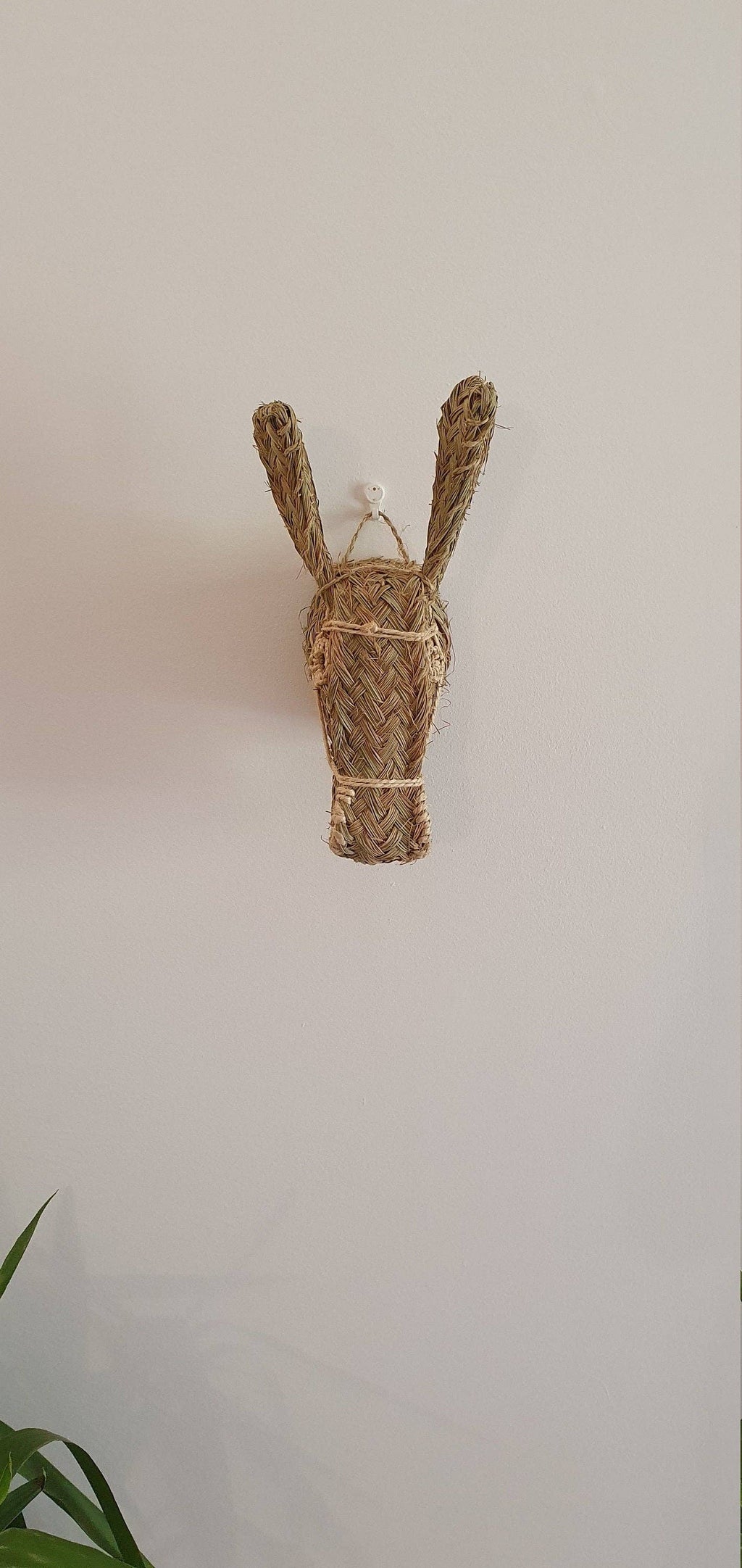 Donkey Head | wall animal trophy - Wall Decoration
