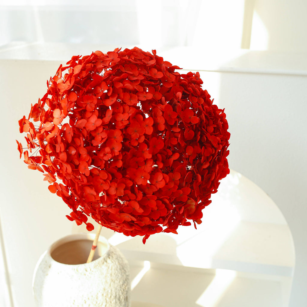Dried Preserved Hydrangea