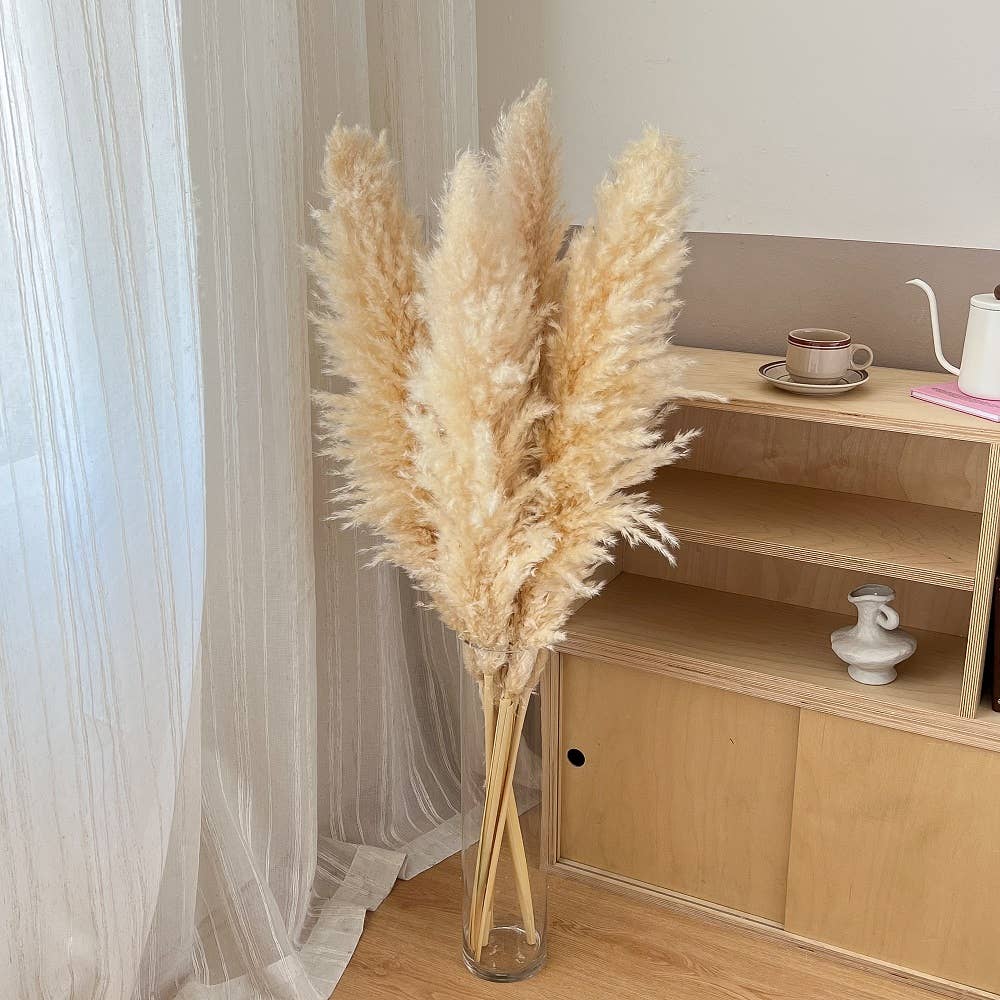 5 Stems of Extra Large Fluffy Pampas Grass Cream Colour