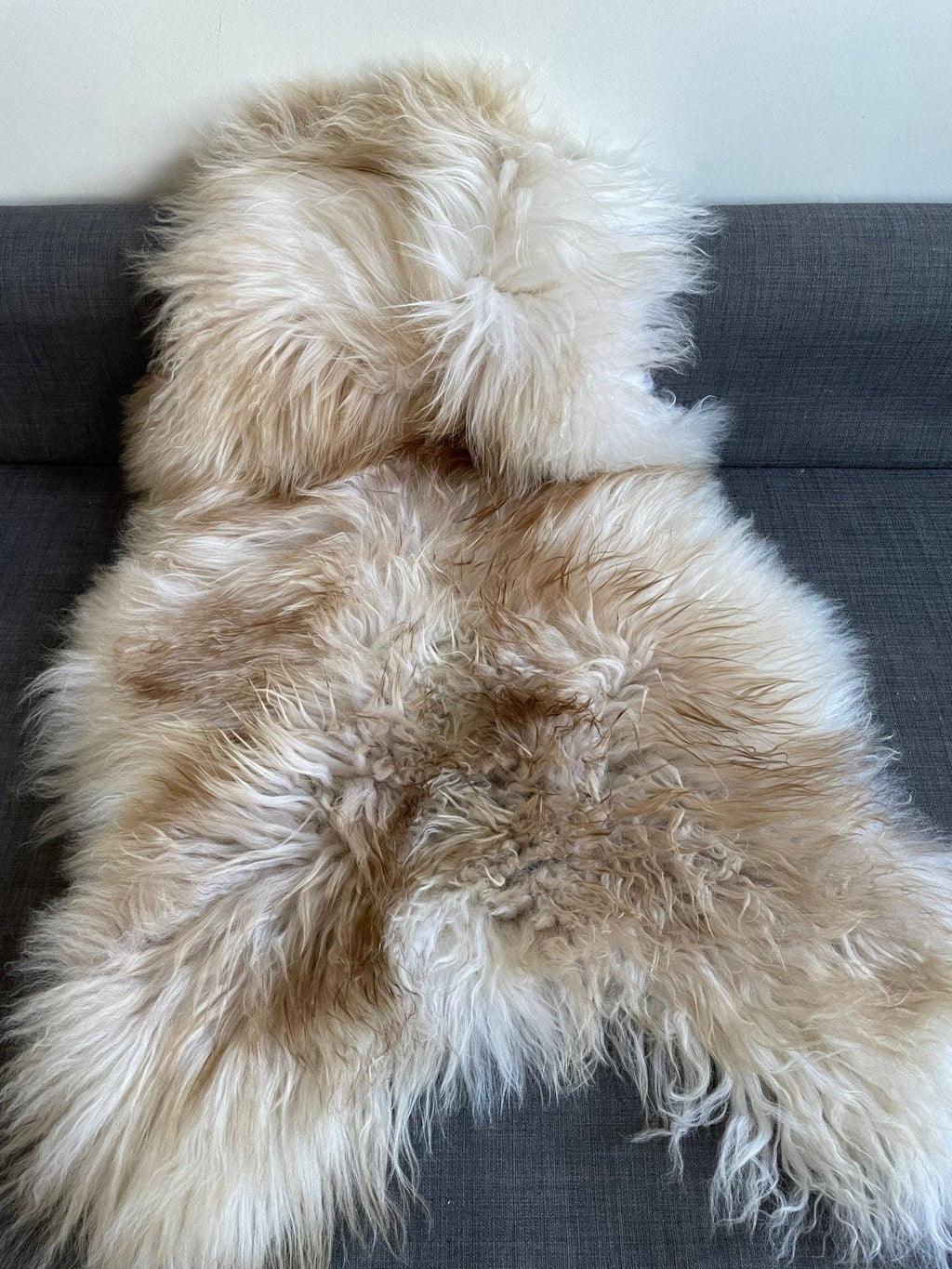 Icelandic Latté Sheepskin Rug 100% Natural Brown Tipped White