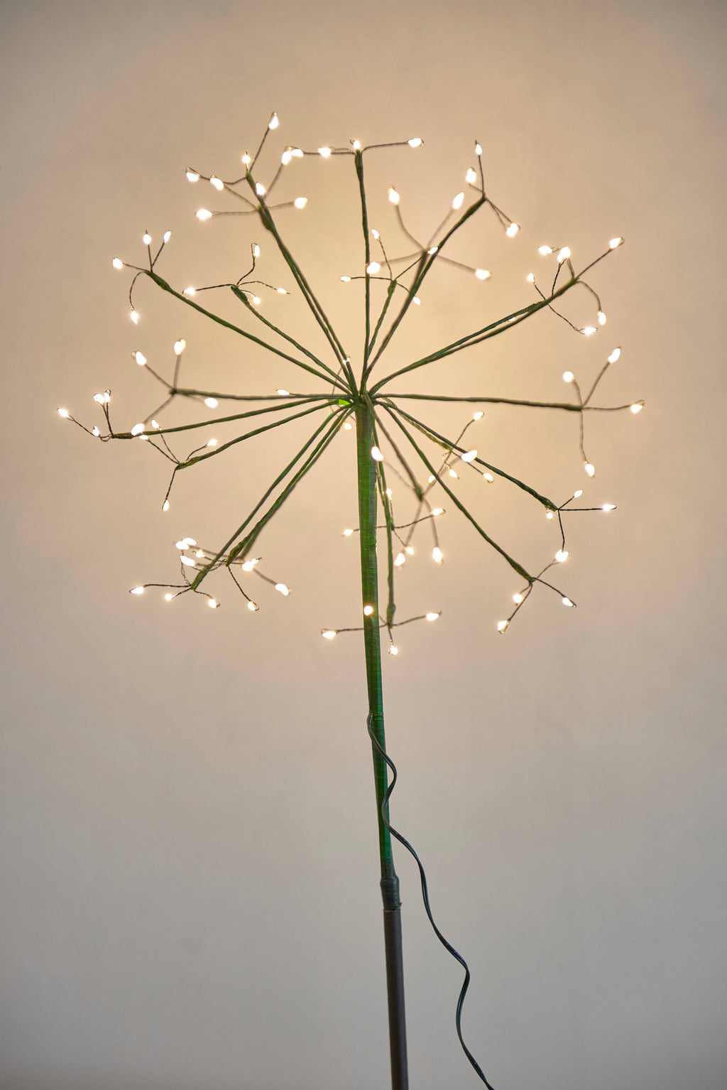 Green Dandelion