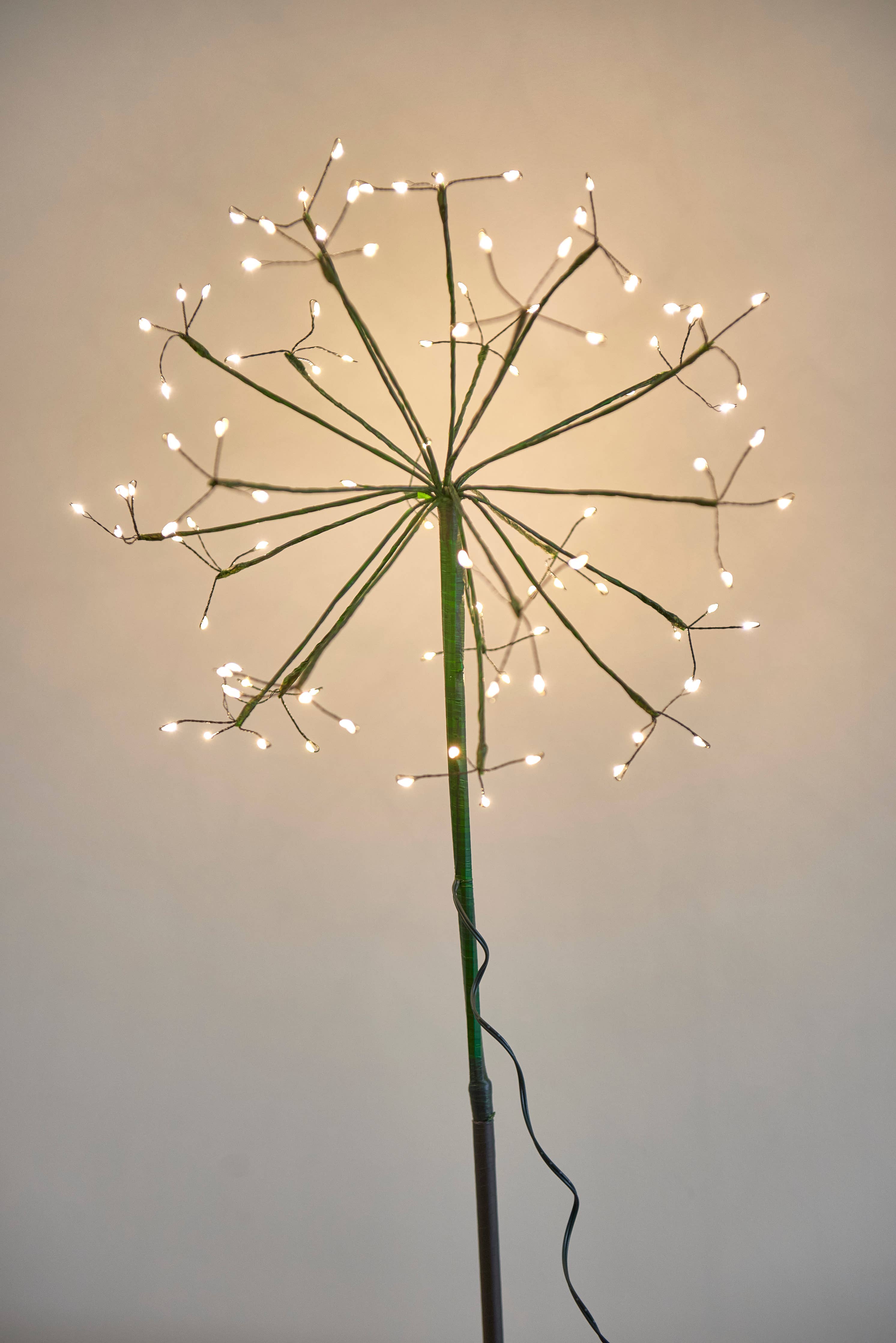 Green Dandelion
