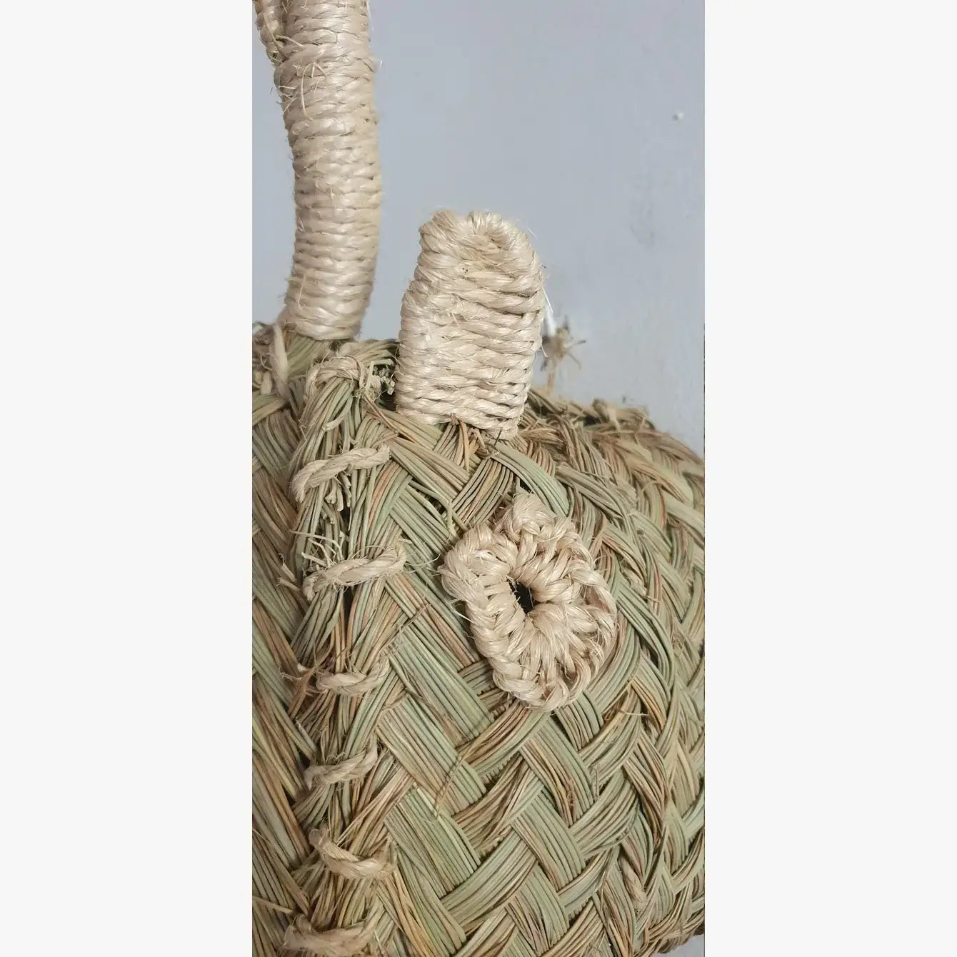 Gazelle Head | wall animal trophy - Wall Decoration