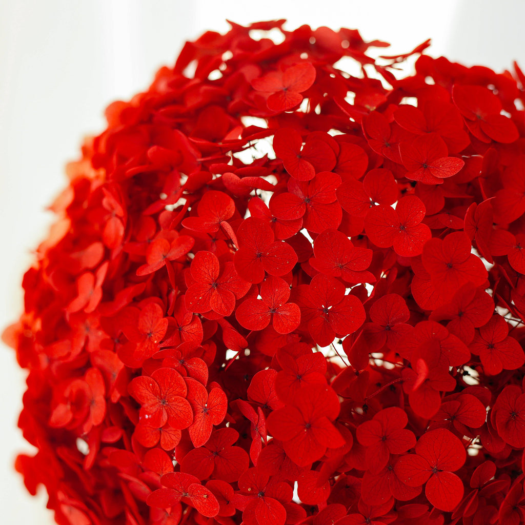 Dried Preserved Hydrangea