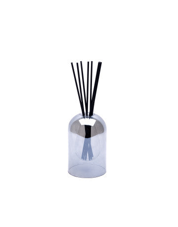 Clear diffuser bottle with black sticks on a white background