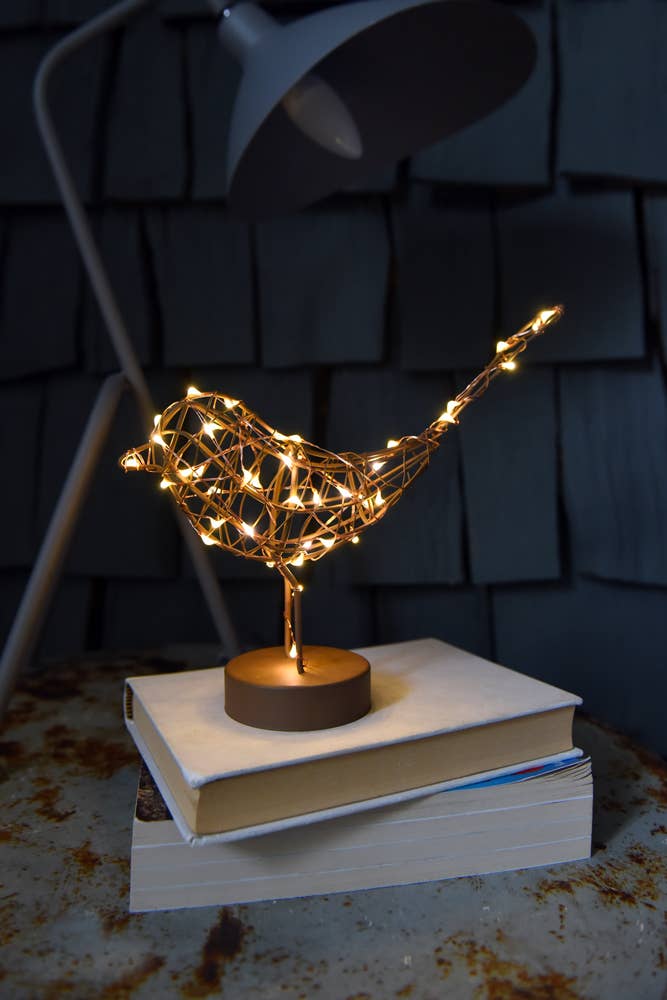 Table Robin battery operated light