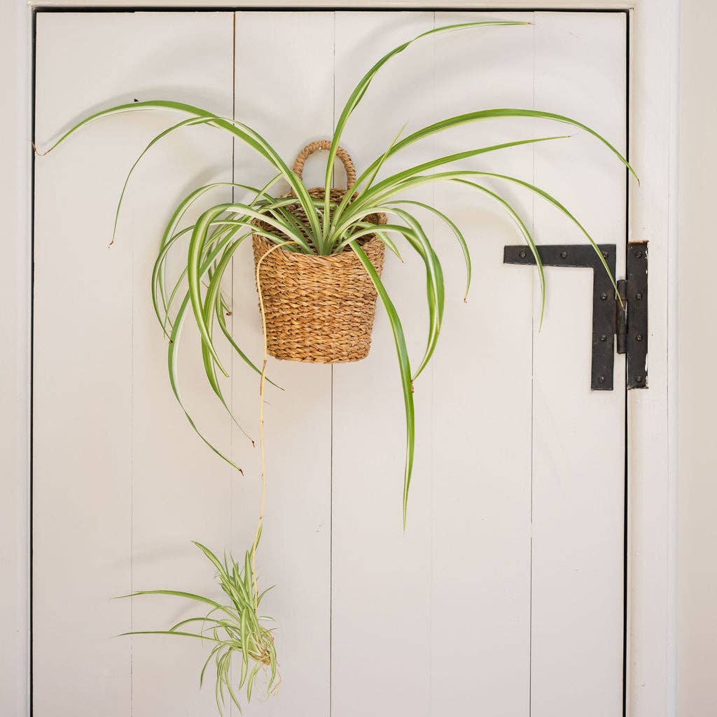 Turag Seagrass Hanging Storage Basket